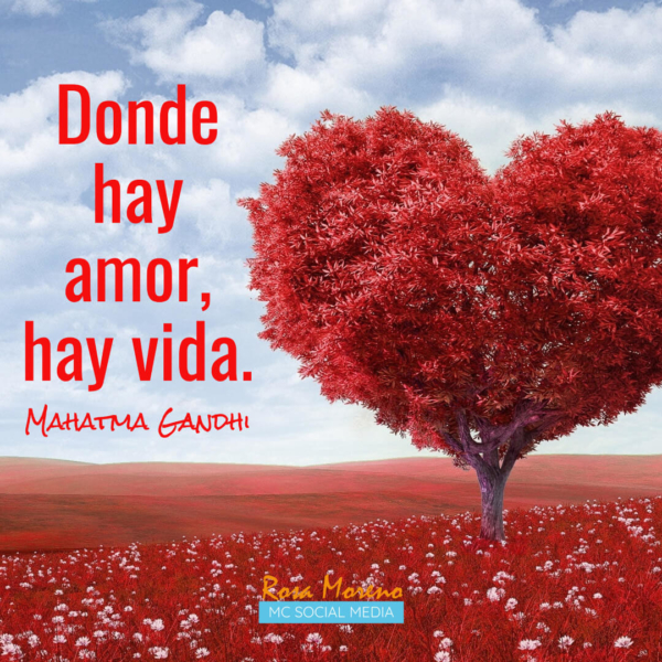 frases para amigas para compartir en instagram